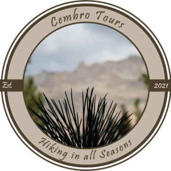 Cembro Logo