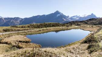 Nationales OL-Weekend am Heinzenberg Nationales OL-Weekend am Heinzenberg