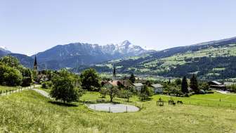 Almens im Frühling