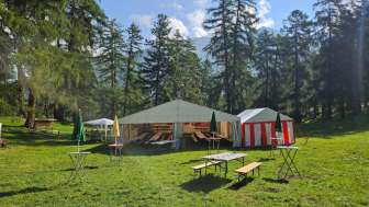 Trans Waldfest