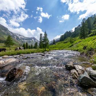 Der Hüscherabach beim verläuft entlang der Passstrasse auf dem Splügenpass