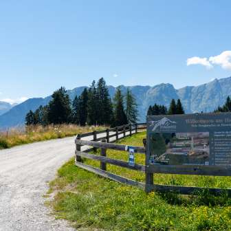 Die Einfahrt zum Stellplatz +plus+ in Sarn