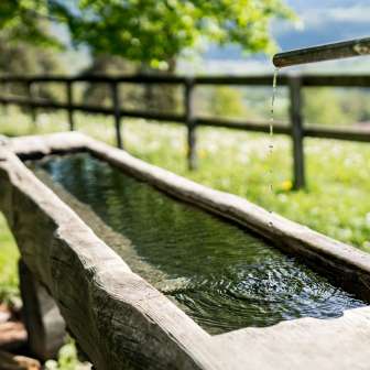 Brunnen bei der Feuerstelle Plaun da Glenna Almens