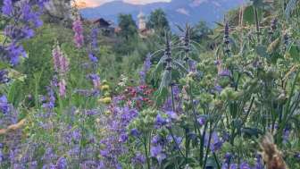 Schritt für Schritt zu deinem Permakultur-Garten