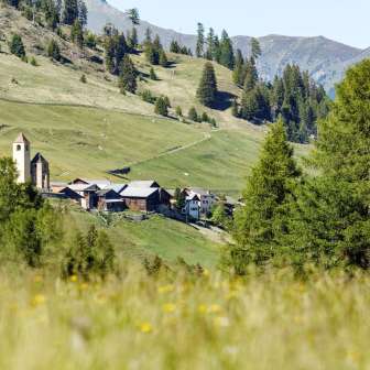 Lohn im Sommer