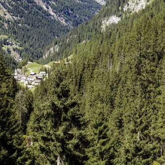 Innerferrera im Sommer