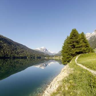 Sufnersee im Sommer