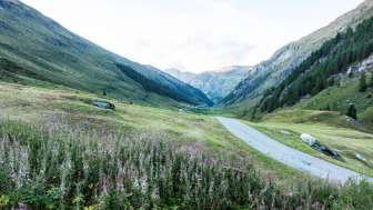Das Val Madris im Sommer Das Val Madris im Sommer