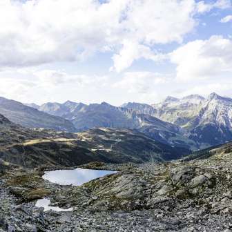 Bergseeli Splügenpass