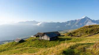 Das Älpli Sarn im Sommer