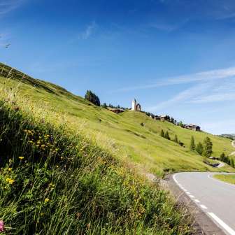 Lohn am Schamserberg im Sommer