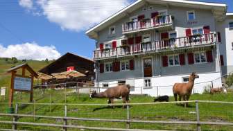 Das Gasthaus Alpina in Tschappina am Heinzenberg Das Gasthaus Alpina in Tschappina am Heinzenberg