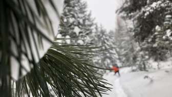 2026 Cembro Winterwanderung