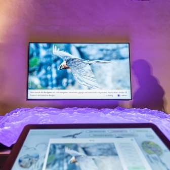 Interaktives Relief Splügen