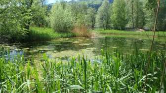 2025 Pro Natura Neophyten