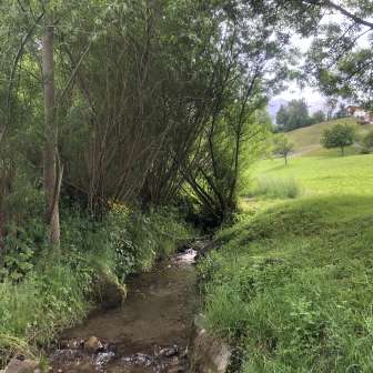 Der Bach direkt bei der Feuerstelle Im Ried Masein