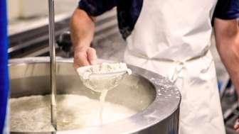 Selber einen Käse herstellen Selber einen Käse herstellen