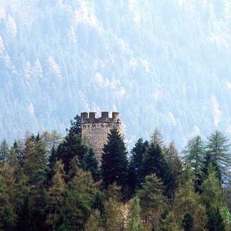 Burgruine Neu Sins / Canova