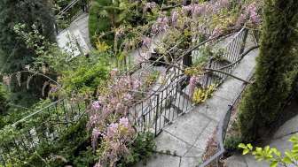 Kurgarten Rothenbrunnen (2026)