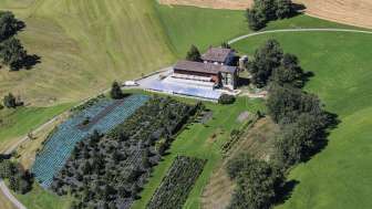 2026 Birkenhof Flugaufnahme2