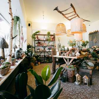 Wildflower Floristik in Thusis