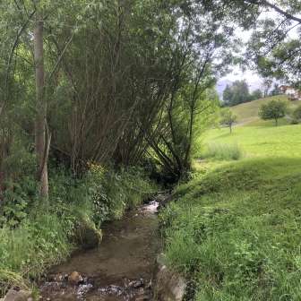 Der Bach direkt bei der Feuerstelle Im Ried Masein