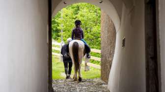 Auf Isländern durch Splügen reiten Auf Isländern durch Splügen reiten