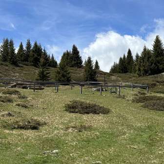 Feuerstelle Muttner Höhi