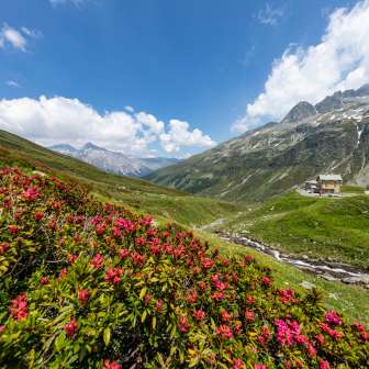 Das Berghaus auf dem Splügenpass im Frühling