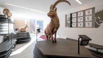 Capricorn Ausstellung in Wergenstein Capricorn Ausstellung in Wergenstein