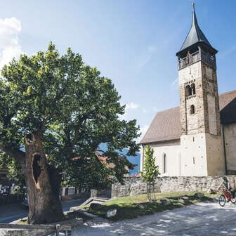 Glacier Bike Tour Etappe 3 nach Thusis