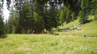 Feuerstelle Summaprada am Schamserberg Feuerstelle Summaprada am Schamserberg