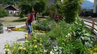Gemeinschafts- und Gartenpflege