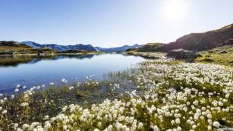 Die Flüeseen im Avers