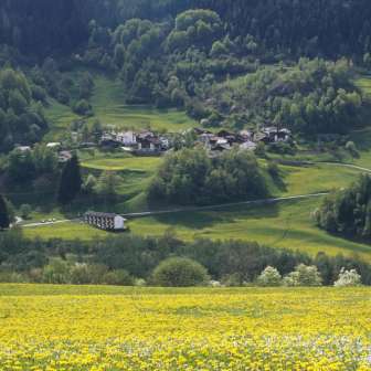 Clugin im Frühling
