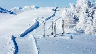 Die Kunstinstallation "Die Dreizehn" auf dem Feldiser Hochland