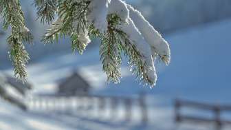 Tomilser Winterzauber 