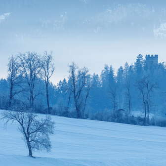 Burgruine Neu Sins / Canova