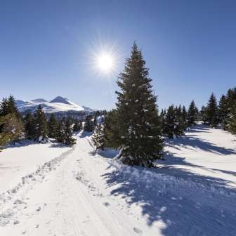 Muttner Höhi Winterwanderweg