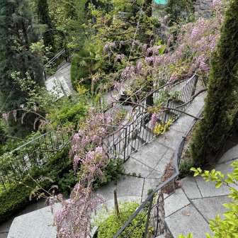 Kurgarten Rothenbrunnen (2026)