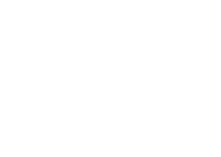 viaSpluga Jubiläums Logo